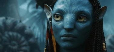 阿凡达鼻子图片