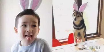 日本网红小正太,萌化万千网友的治愈系童颜