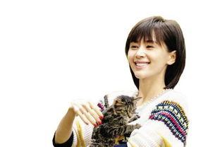 性刘的明星有哪些